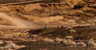 特狮：我没事，早上在巴塞罗那训练，将回吉达加入球队训练营